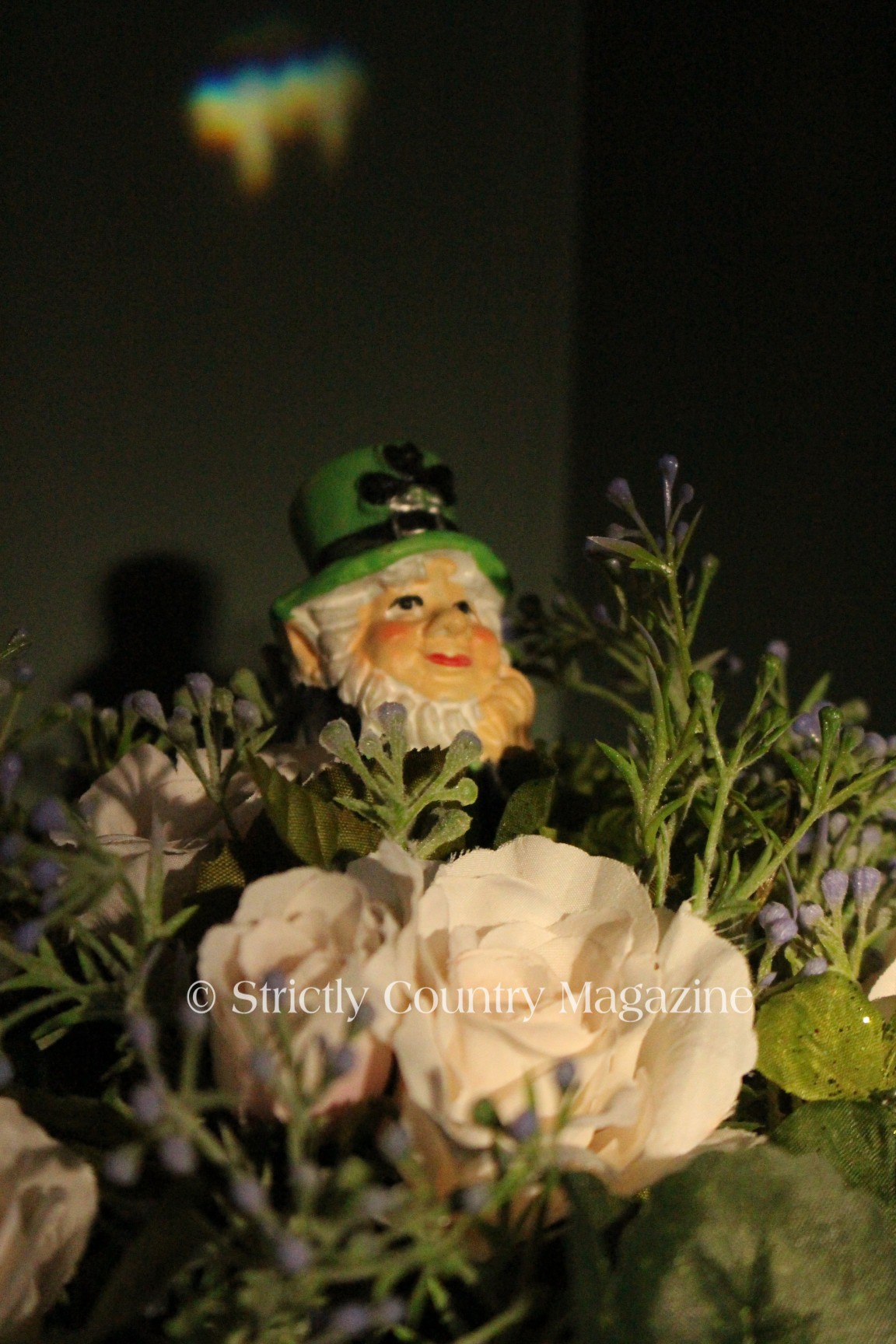 Strictly Country copyright A Northwoods Country Saint Patrick's Day Leprechaun